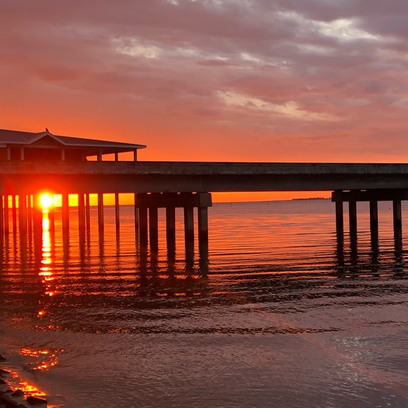 Meet your Posher, Jasmine - Picture 1 of 1